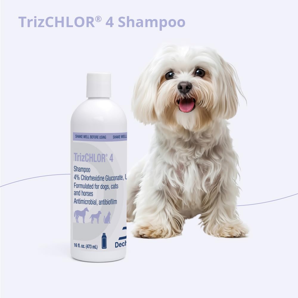 Shampoo for Dogs, Cats and Horses, 16 Ounce X882026