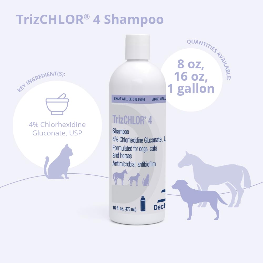 Shampoo for Dogs, Cats and Horses, 16 Ounce X882026
