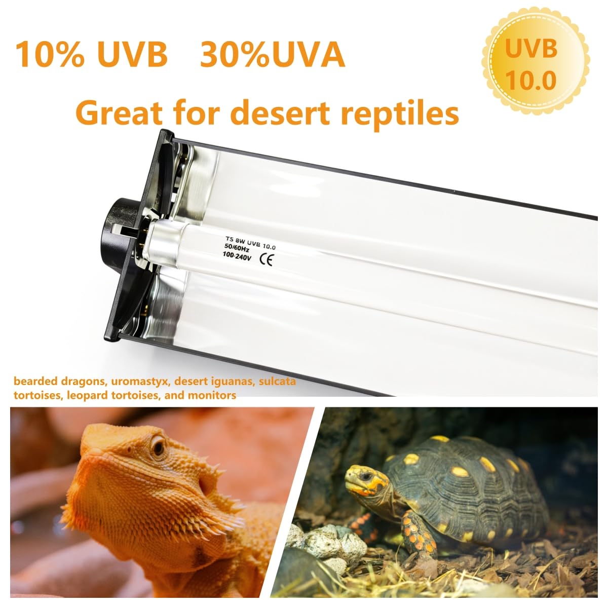 8W T5 UVB UVA Reptile Light Fixture and Bulb Kit W612106