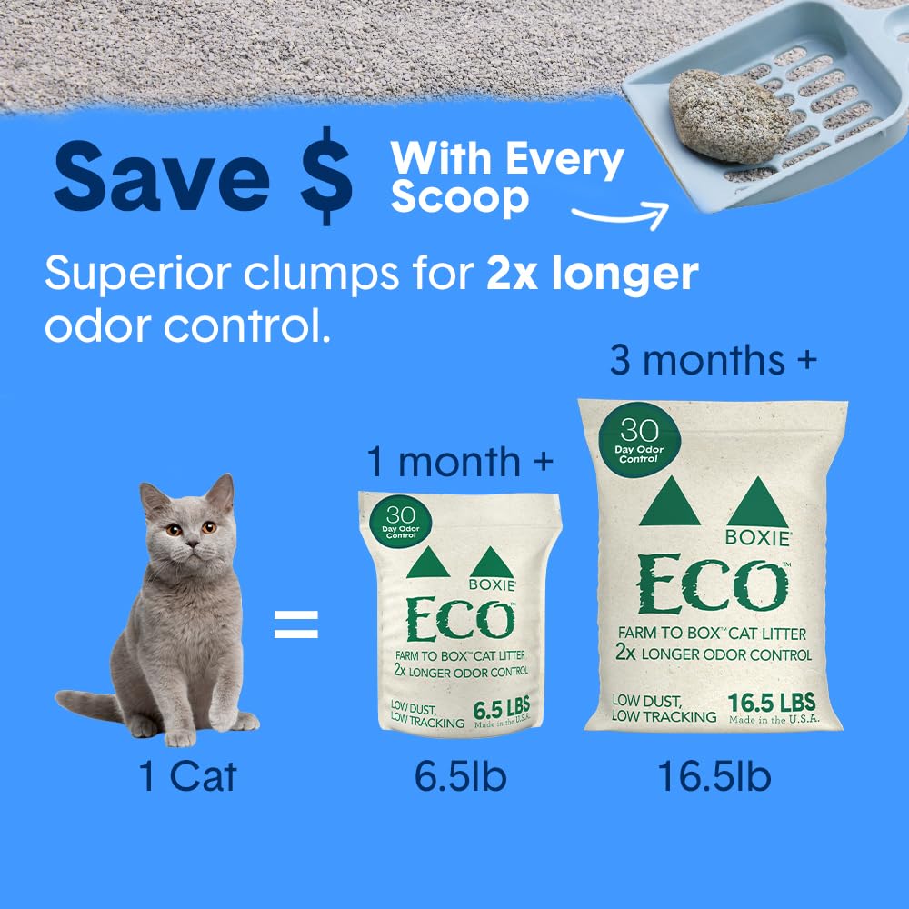 Plant-Based Clumping Cat Litter V3297