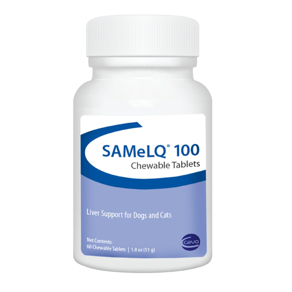 100 mg Chewable Tablets Liver Support Supplement V864424