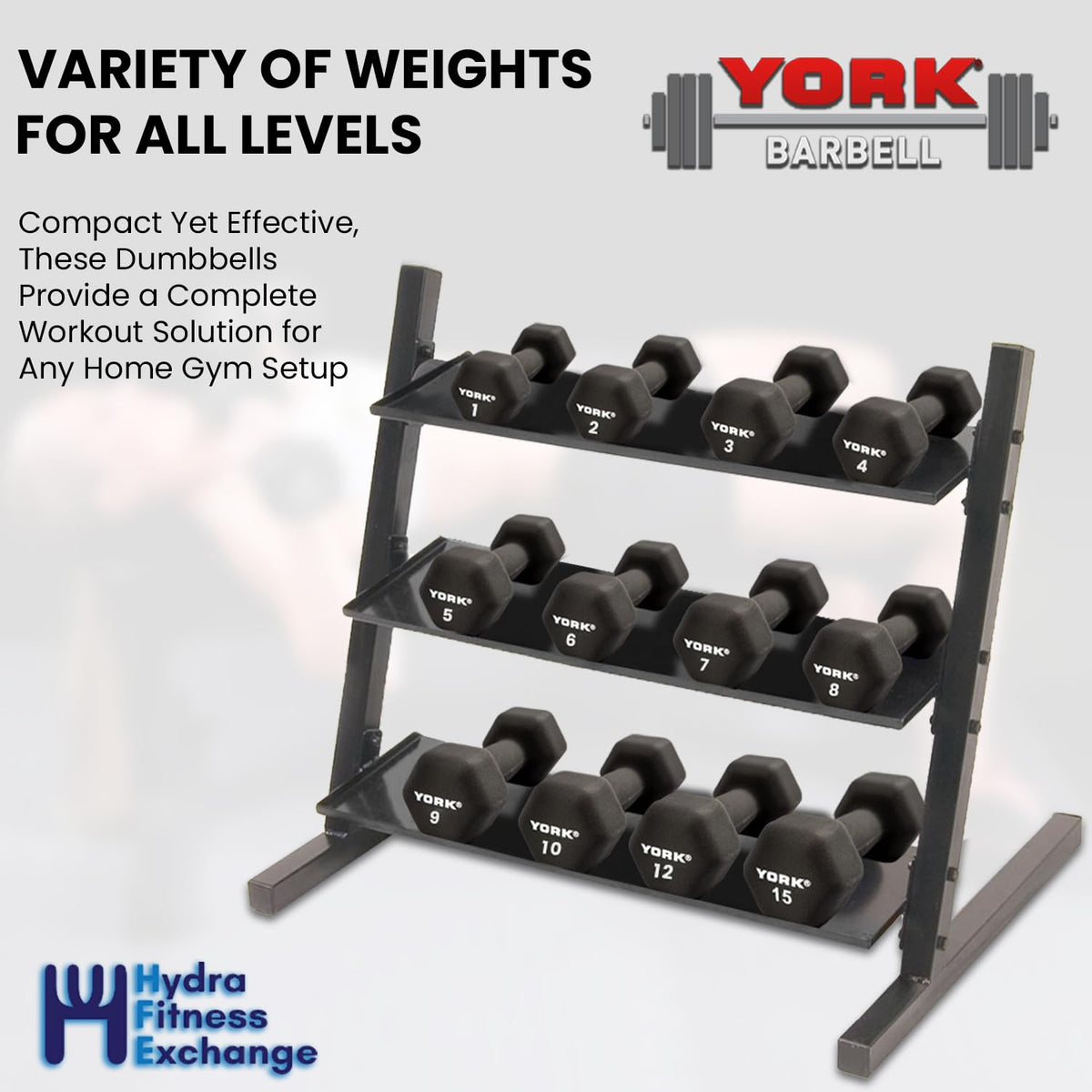 Neoprene Hexagon Dumbbells with Cast Ergo Handle 10lb Pack of 1 R345091