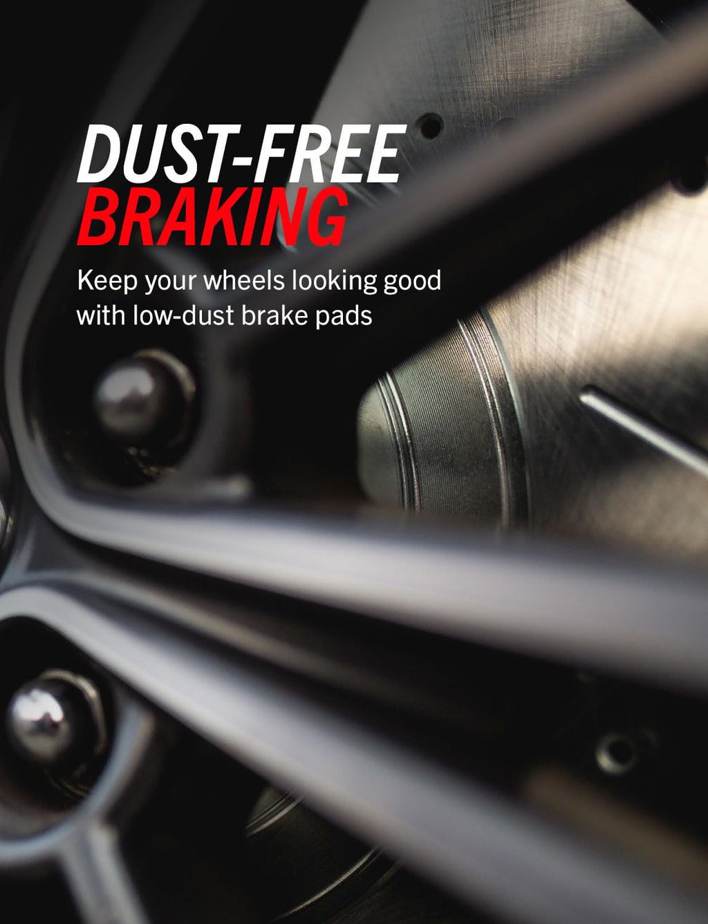 Front & Rear Brake Pad & Rotor Kit W309