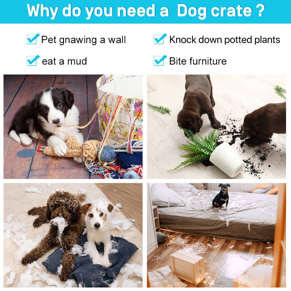 48" Heavy Duty Folding Wire Metal Dog Crate with Divider V542078