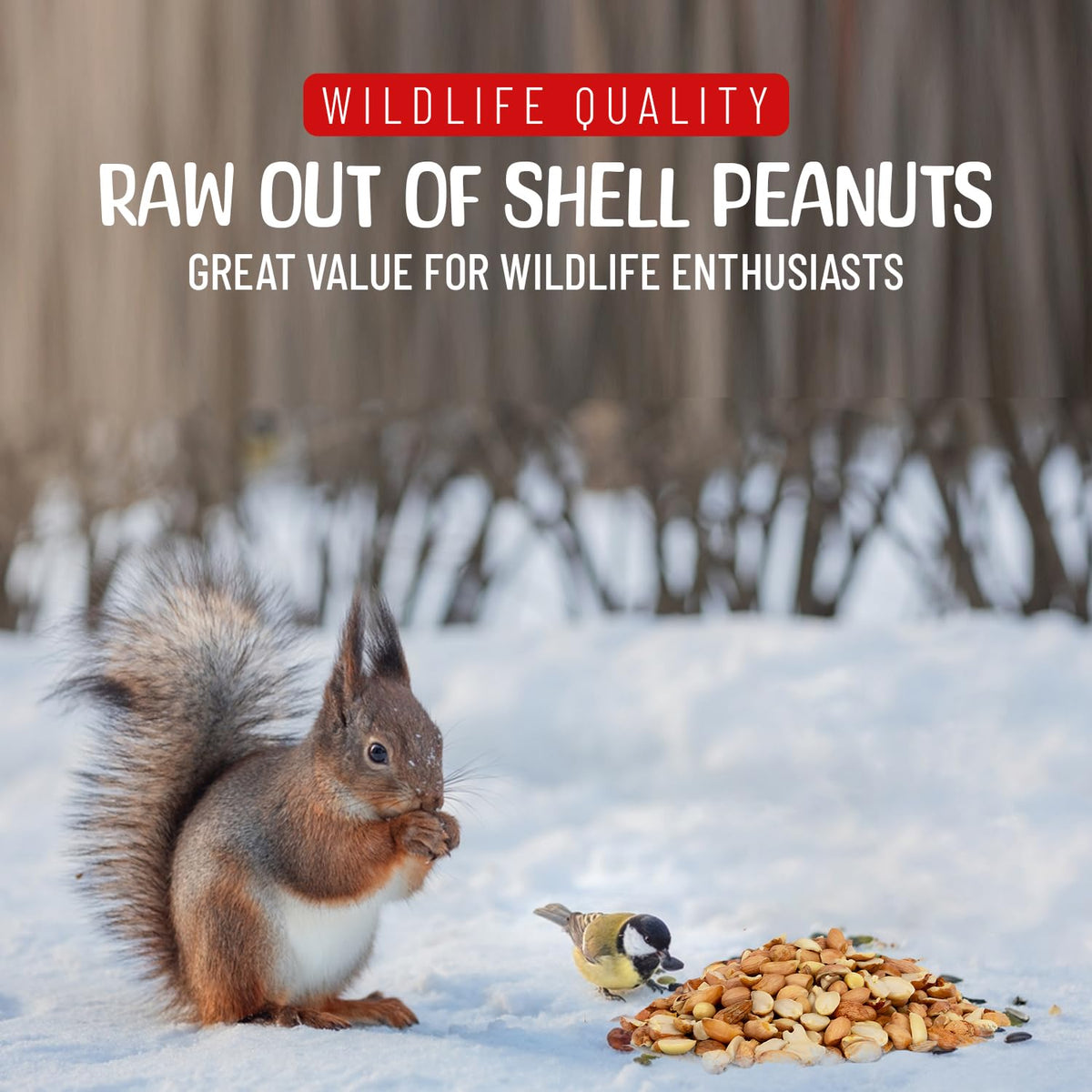 Raw Shelled Peanuts 5 Pounds W443419