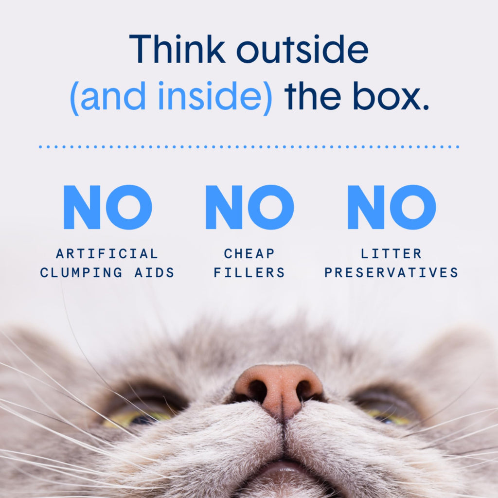Plant-Based Clumping Cat Litter V3297