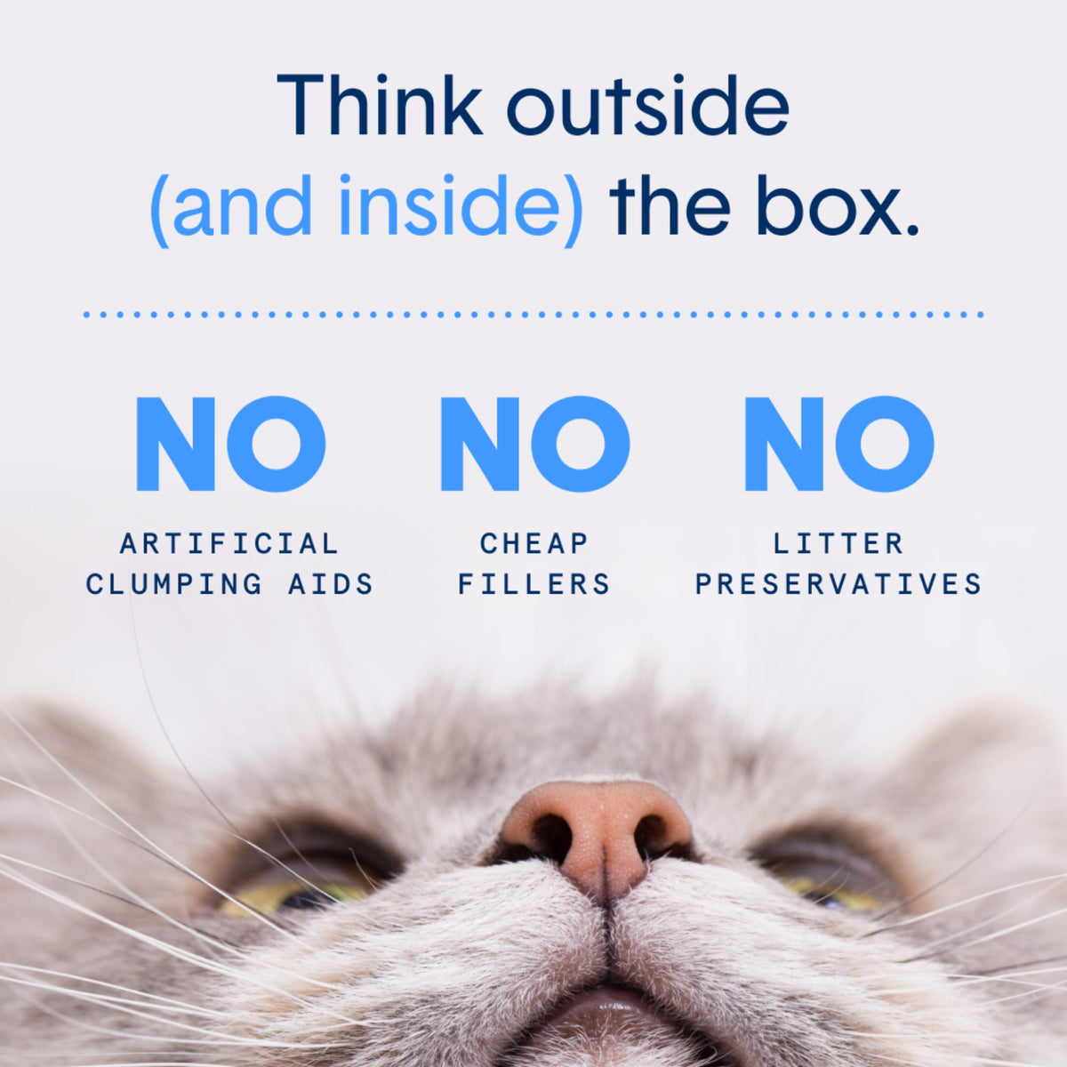 Plant-Based Clumping Cat Litter V3297