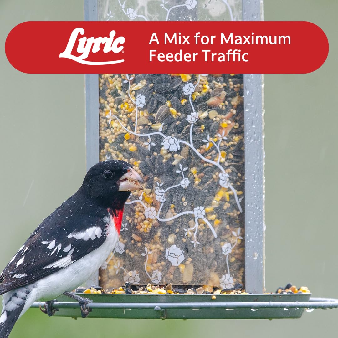 Wild Bird Seed 20 lb. Bag A26515