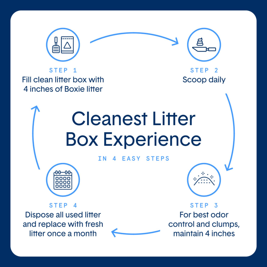 Plant-Based Clumping Cat Litter V3297