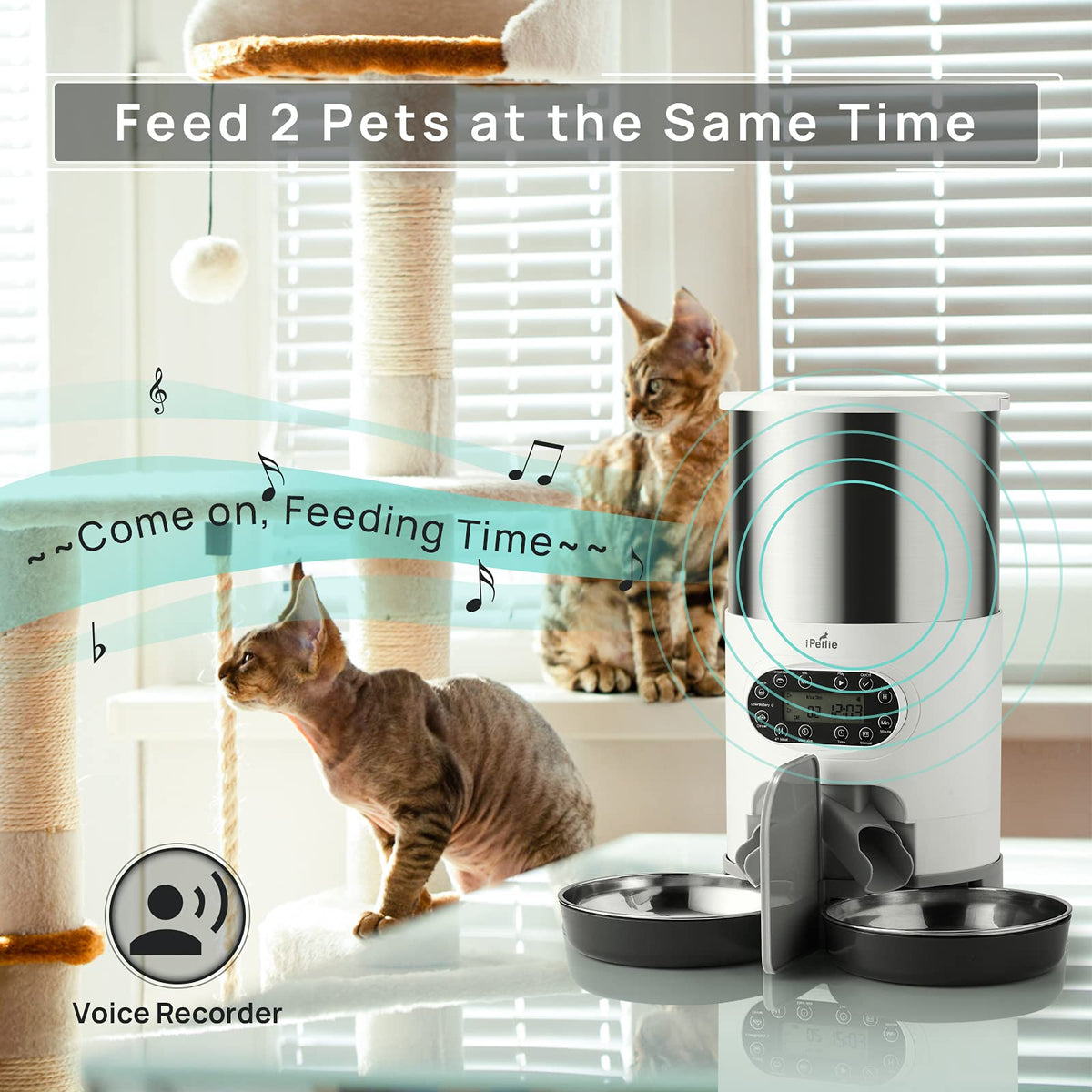 Automatic Pet Feeder with 4.5L Capacity E955