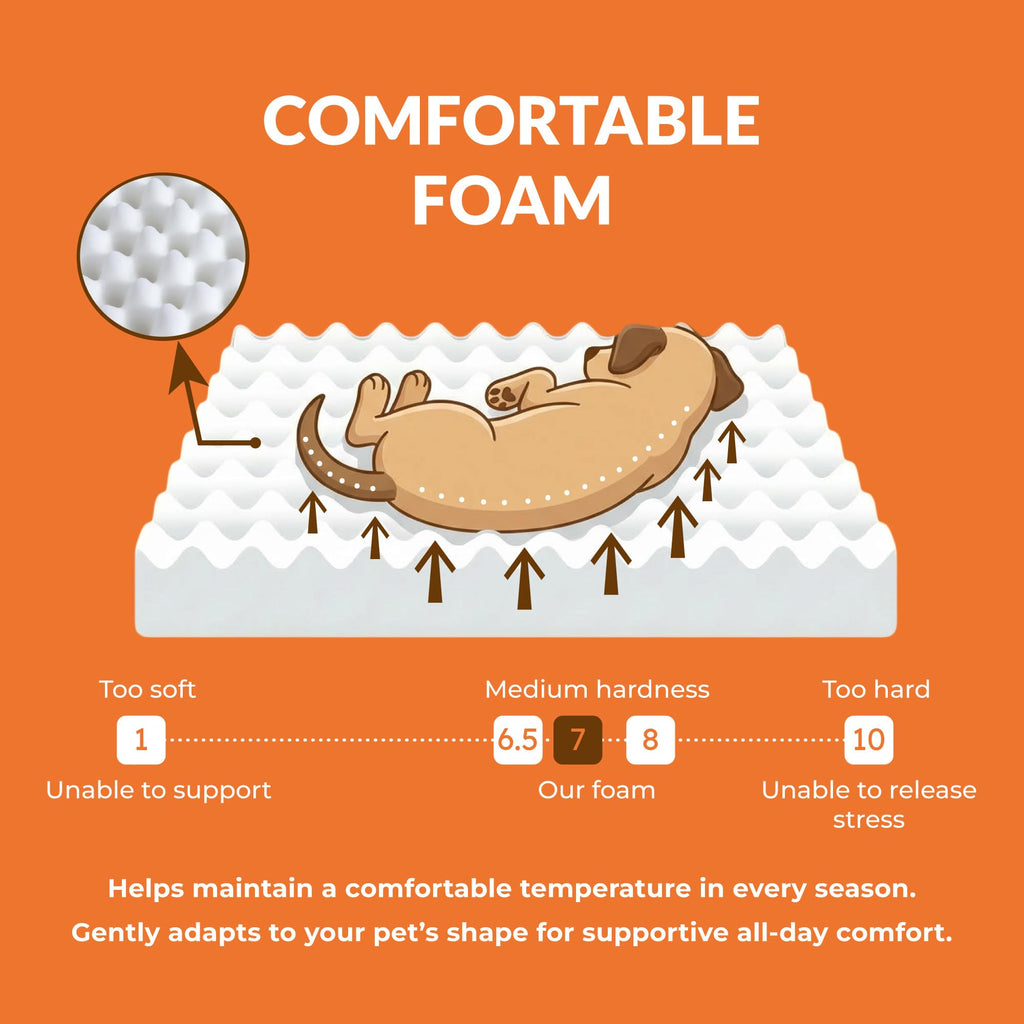 Wood Dog Bed Frame with Foam Mattress C6898