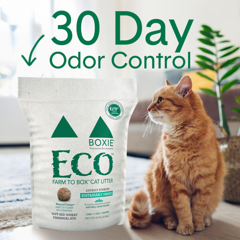 Plant-Based Clumping Cat Litter V3297