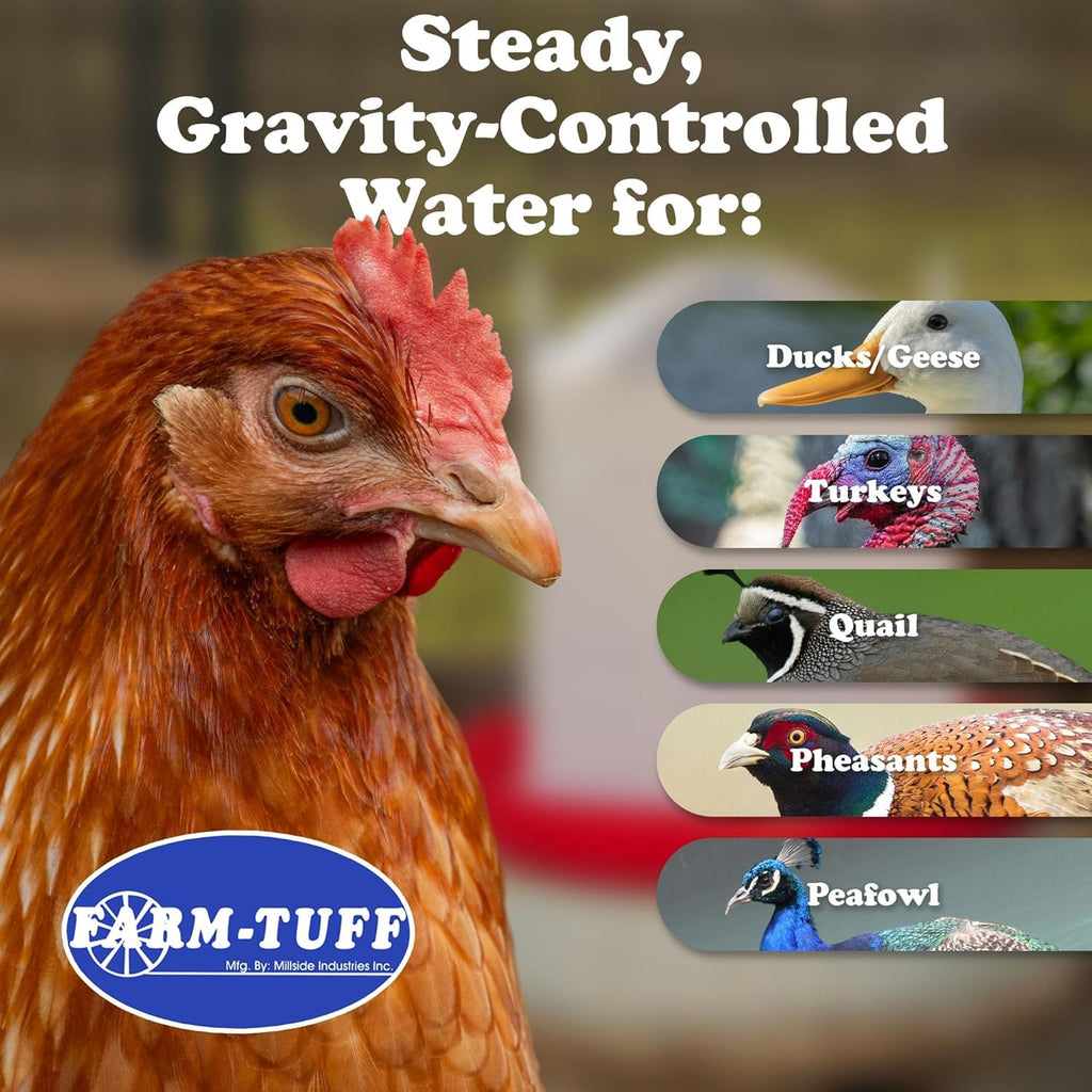 3 Gallon Plastic Poultry Waterer G62835