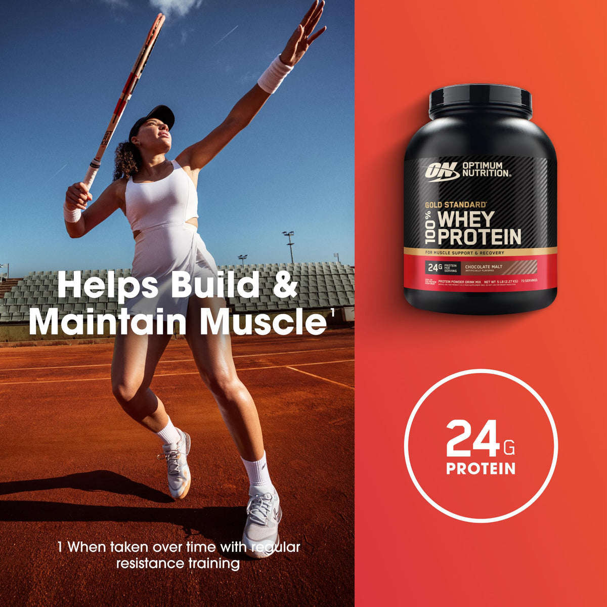 Whey Protein Powder Chocolate Malt 5 LB W29453