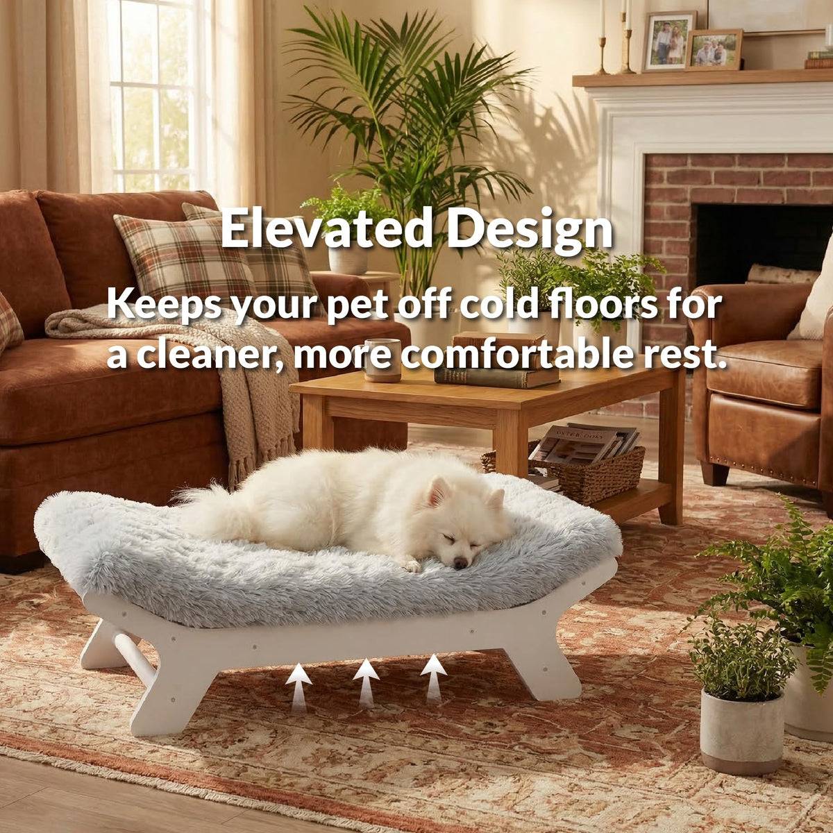 Wood Dog Bed Frame with Foam Mattress C6898