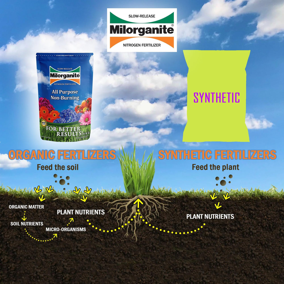 Slow-Release Nitrogen 6-4-0 Fertilizer, 5 Pound Bag (Pack of 4) B3576