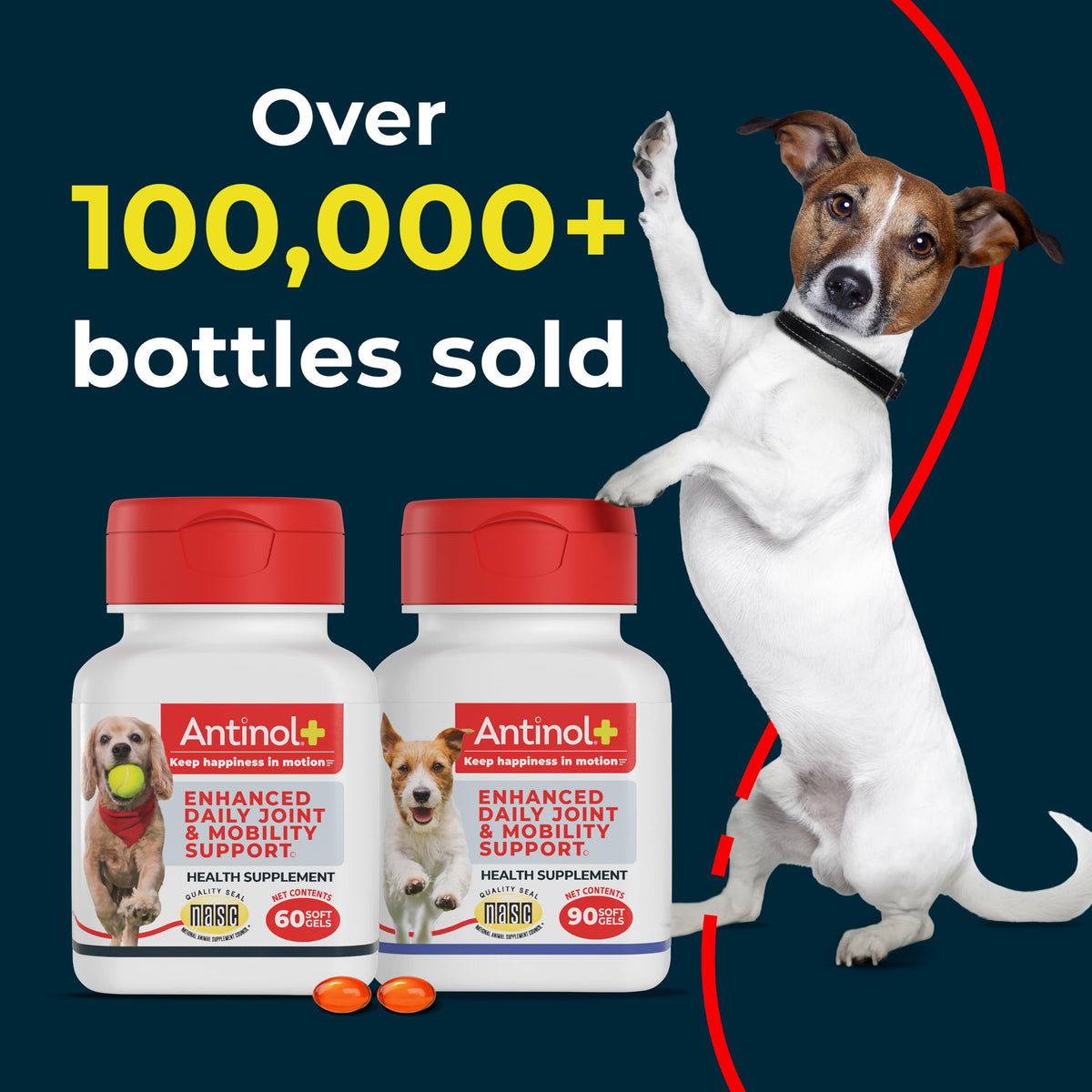 Hip & Joint Supplement for Dogs, 60 Soft Gels Z283989