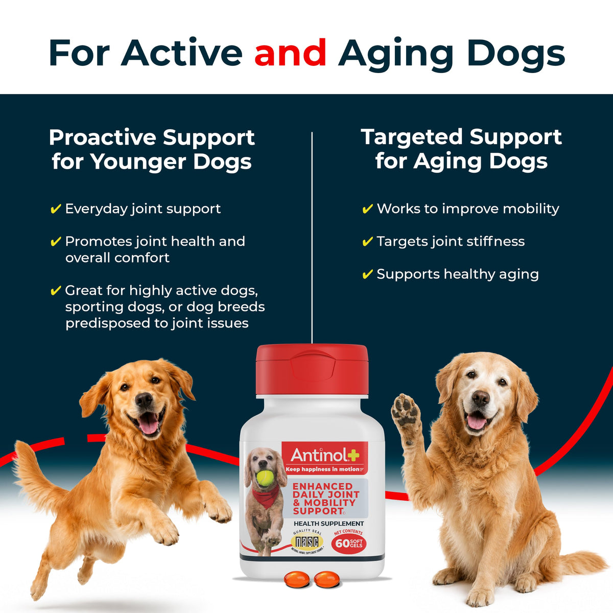 Hip & Joint Supplement for Dogs, 60 Soft Gels Z283989