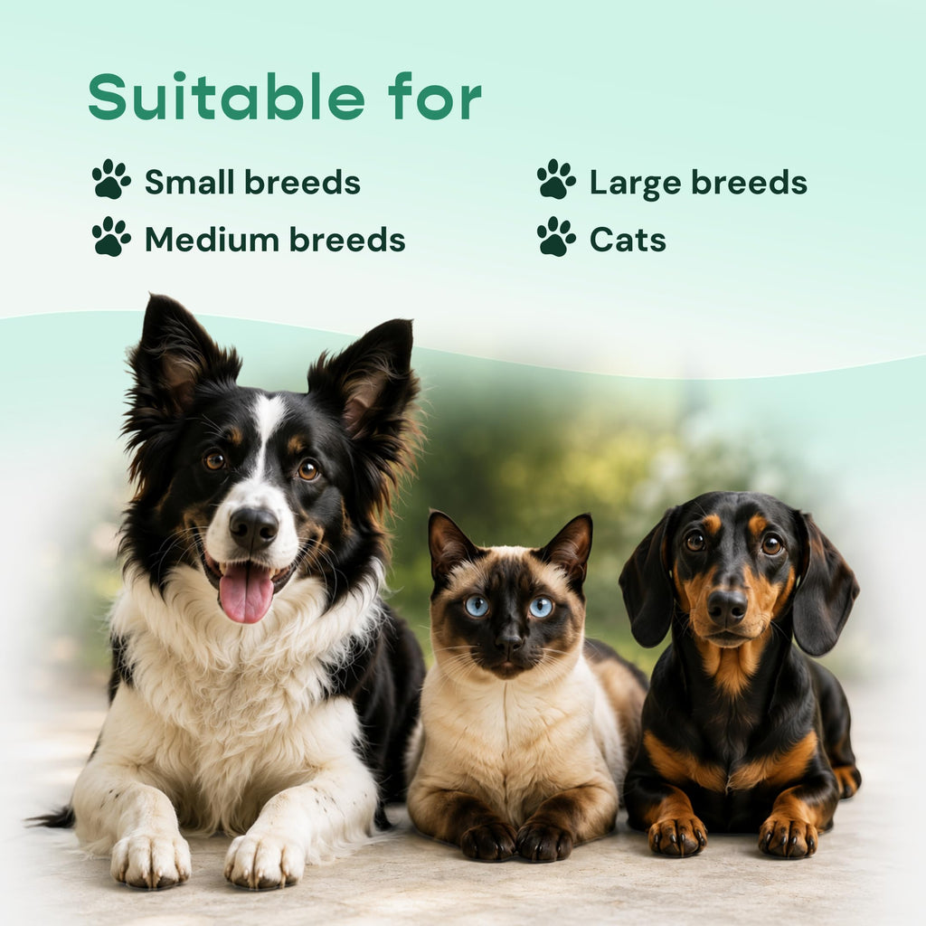 Liquid Immune Support for Dogs & Cats 2 fl oz O399