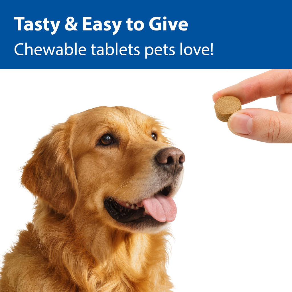 100 mg Chewable Tablets Liver Support Supplement V864424