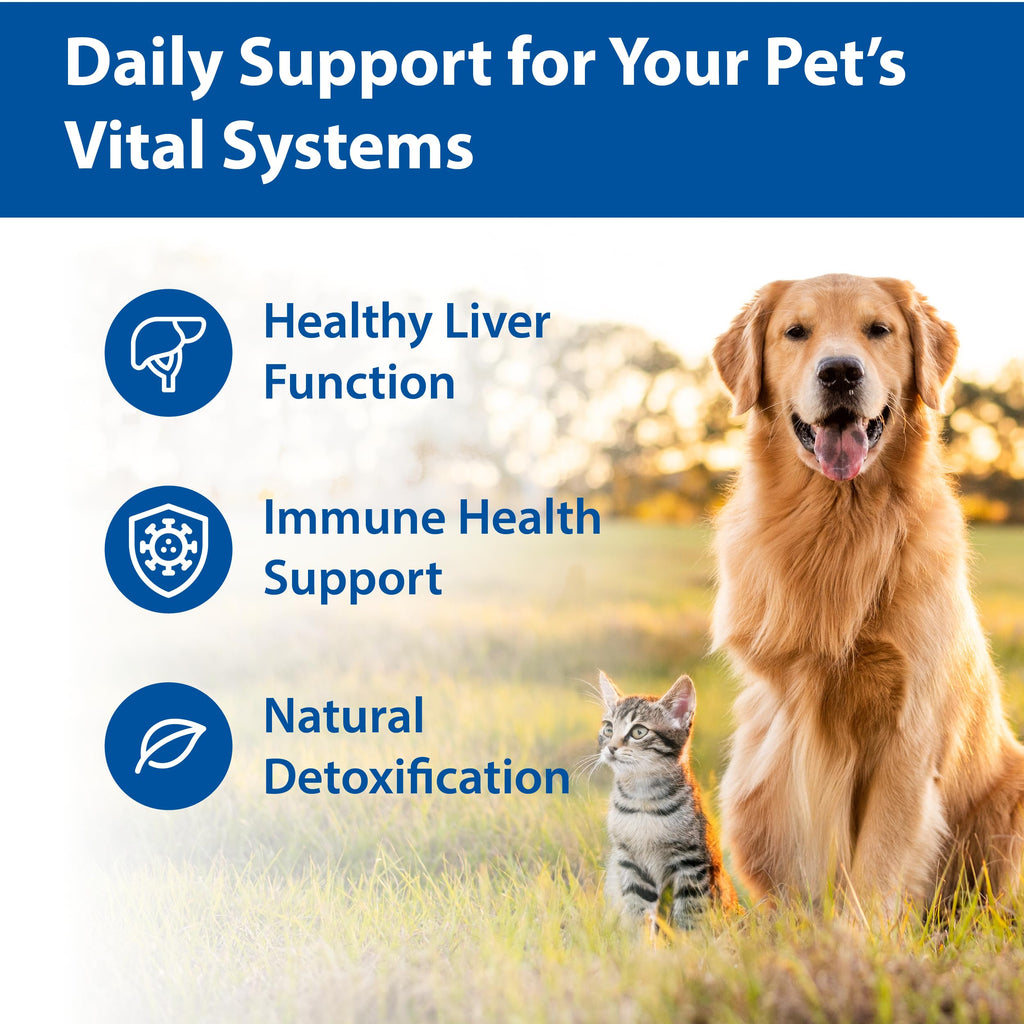 100 mg Chewable Tablets Liver Support Supplement V864424