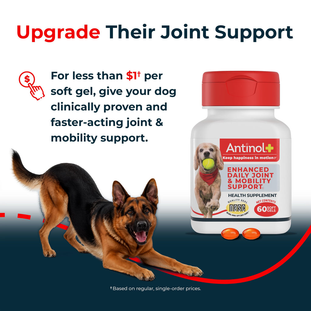 Hip & Joint Supplement for Dogs, 60 Soft Gels Z283989