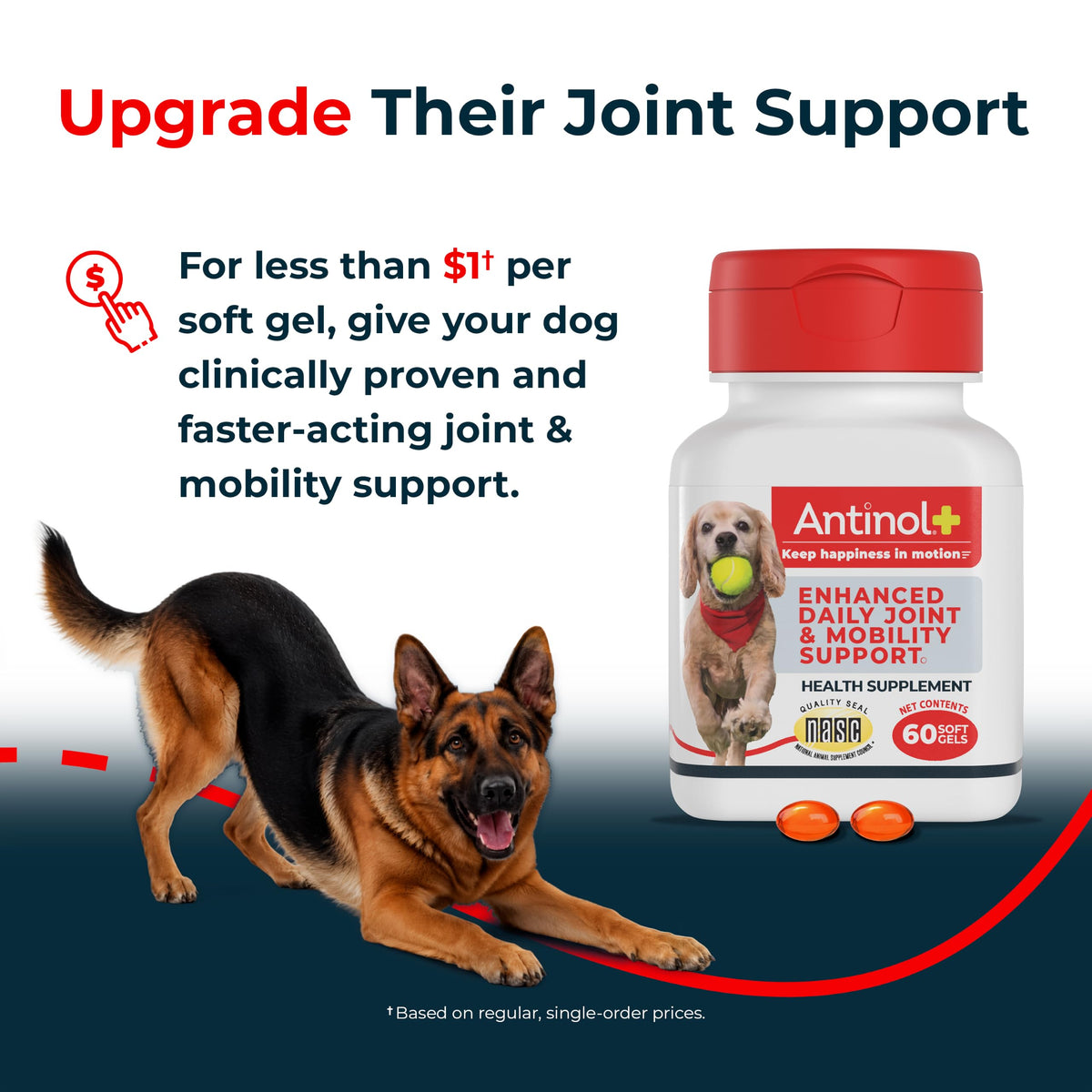 Hip & Joint Supplement for Dogs, 60 Soft Gels Z283989