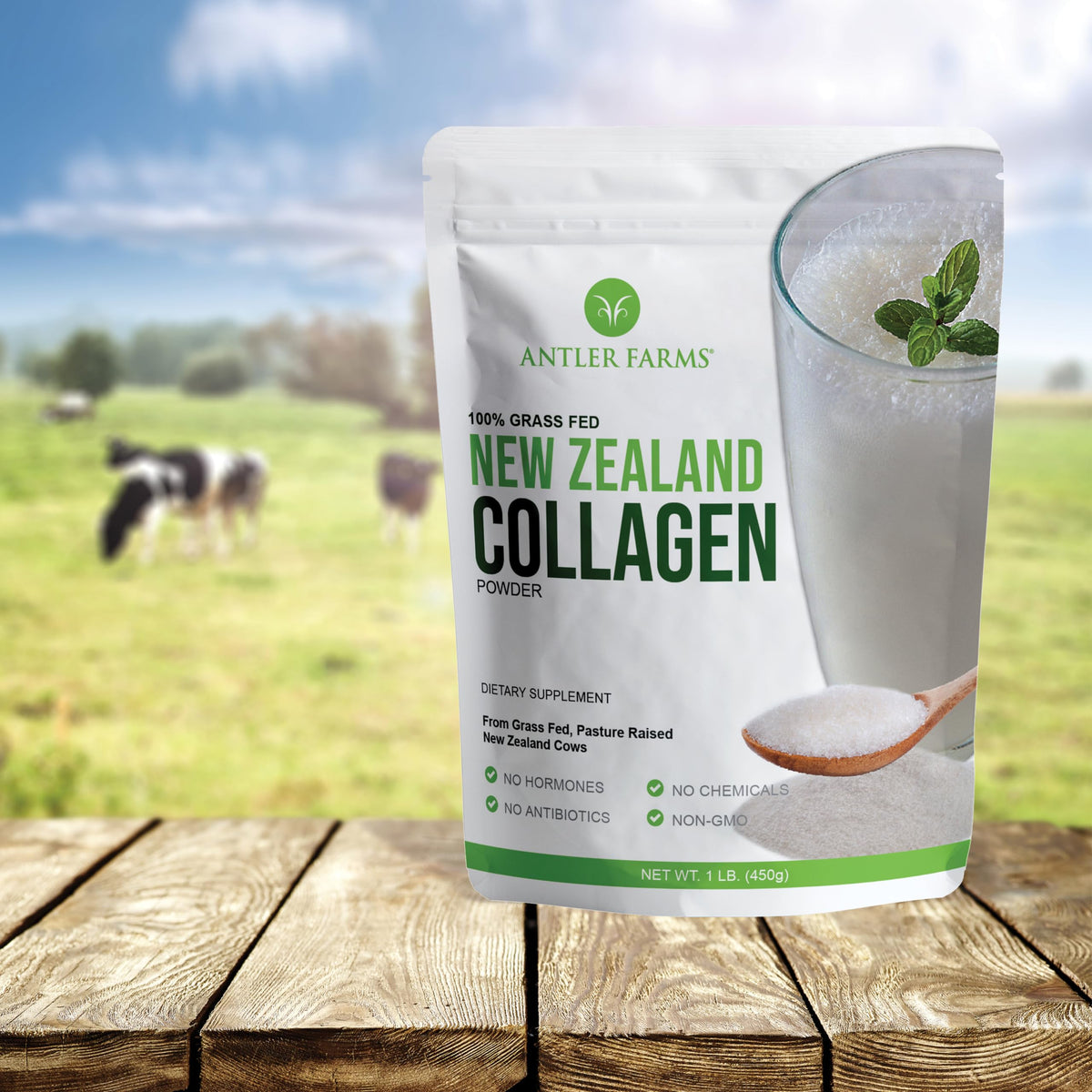 Collagen Powder - Grass Fed, Unflavored, 1 lb G198