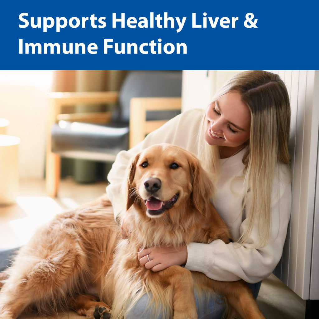 100 mg Chewable Tablets Liver Support Supplement V864424