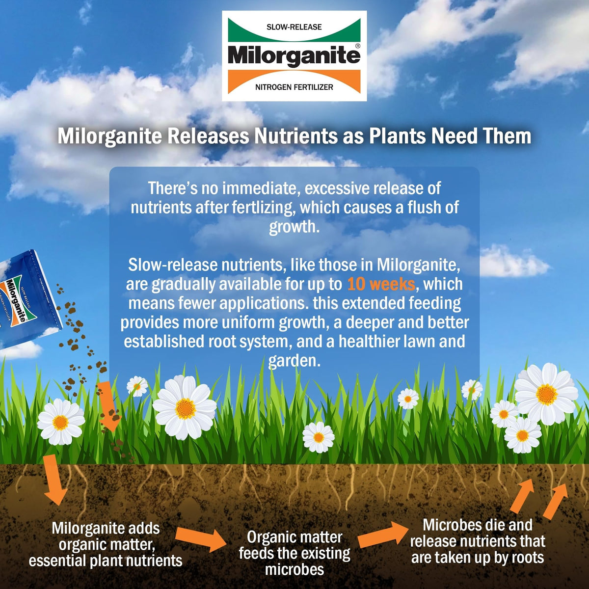 Slow-Release Nitrogen 6-4-0 Fertilizer, 5 Pound Bag (Pack of 4) B3576